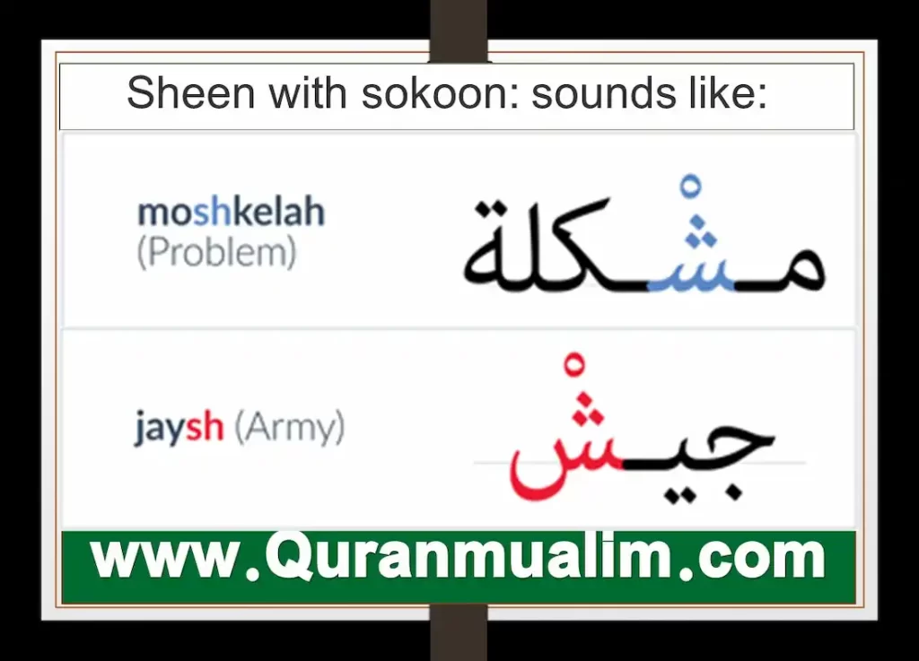 , arabic letter sheen	,سکس ش, arabic letter sin,اهنگ ش, arabic words that start with sheen, ش ش arabic letter sheen, arabic words that start with sheen	 		