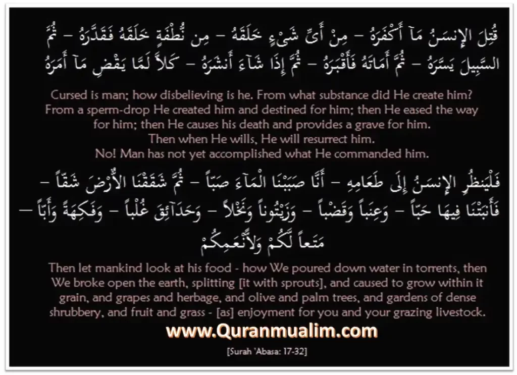 surah abasa,abasa surah ,surah abasa watawala,surah al abasa,surah abasa translation,surah abbas,abasa surah, surat al abasa,abasa quran,surah abasa translation,translation of surah abasa ,surah abasa english ,surah abasa equran  