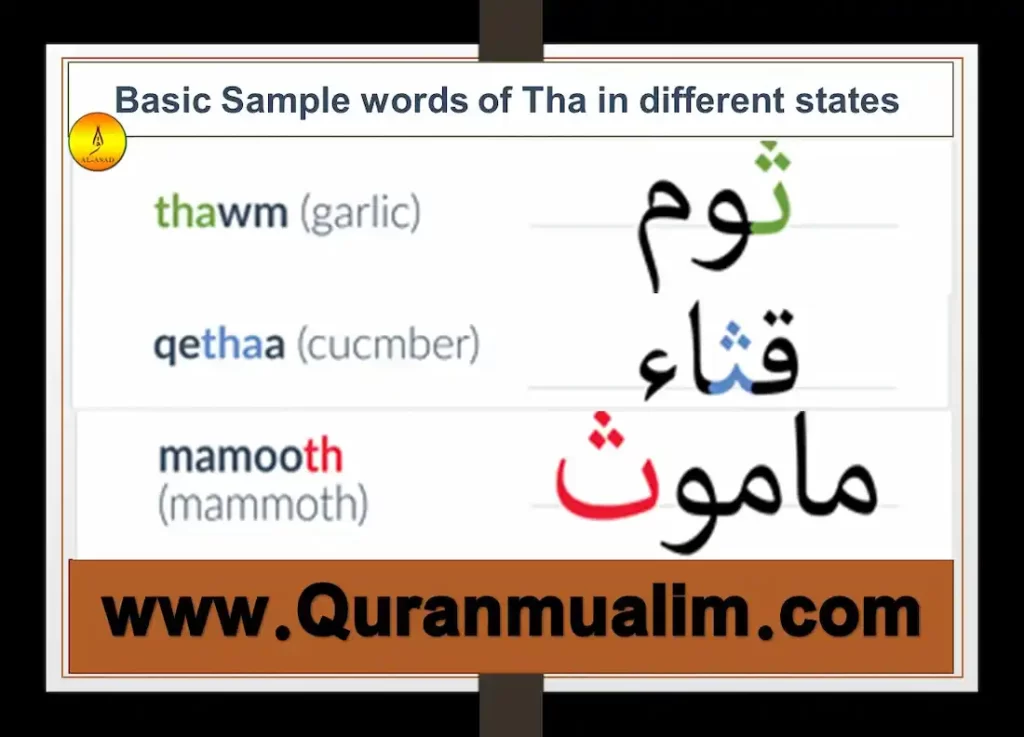 thaa in arabic, arabic alphabet thaa, arabic letter tha, arabic letter tha words, arabic letter thaa what is tha, tha tha, how to tha,tha tha meaning,tha definition, what does tha mean, is tha