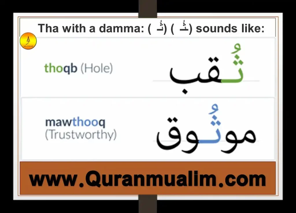 thaa in arabic, arabic alphabet thaa, arabic letter tha, arabic letter tha words, arabic letter thaa what is tha, tha tha, how to tha,tha tha meaning,tha definition, what does tha mean, is tha