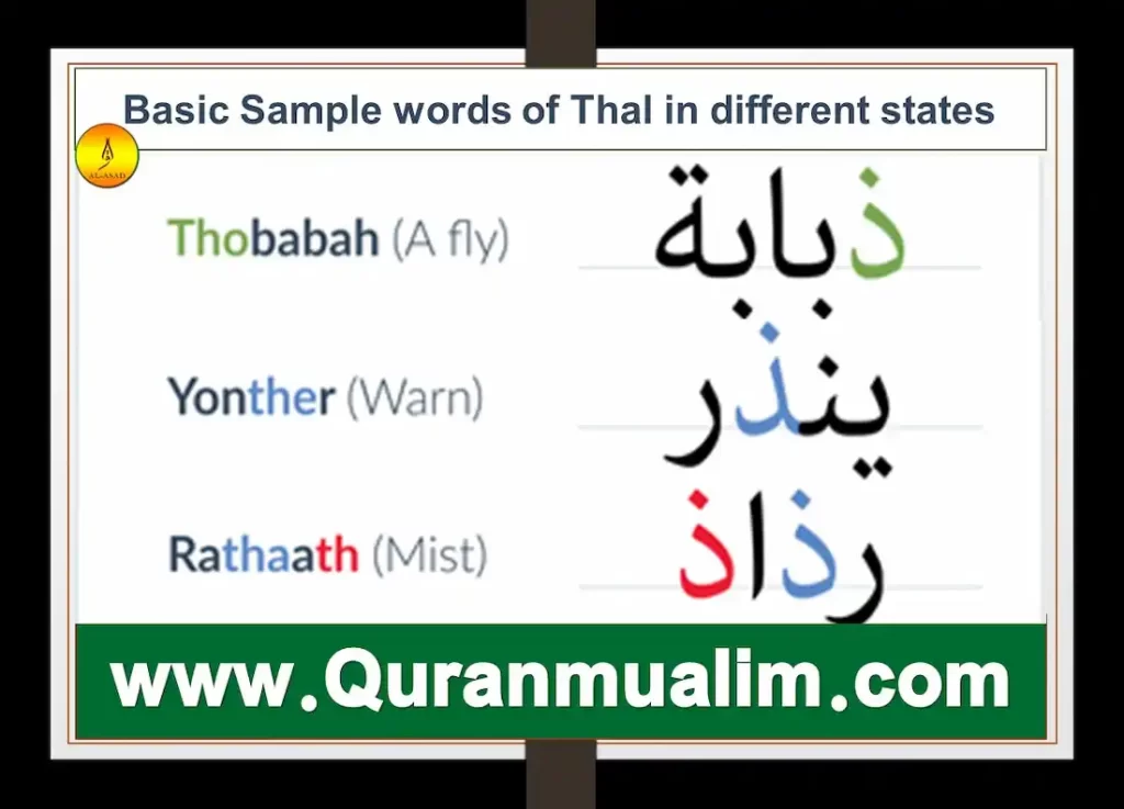 ذ arabic letter dhal,how many letters in the arabic alphabet, بلاد بحرف ال ذ, how many letters are in the arabic alphabet, arabic letter zaal words 