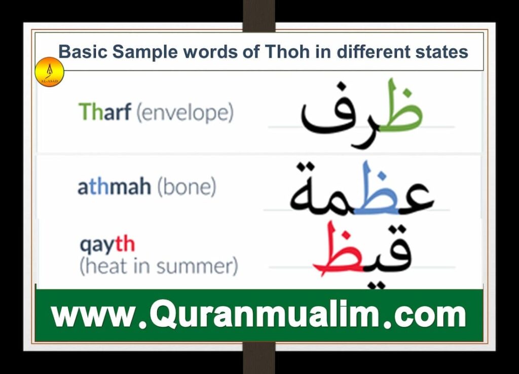 what does thoh meanarabic alphabet,کلمه با ظ،  arabic alphabet in english, طعام بحرف ظ، arabic alphabet chart, learn arabic alphabet، arabic alphabets,شقشلاهؤ شمحاشلاثف	arabic alohabet