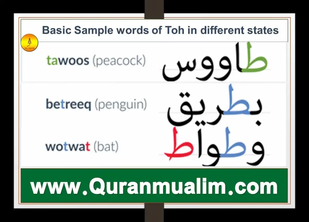 t.o.h.what is toh, toh meaning, learn arabic, how to learn arabic, learning arabic, is arabic hard to learn, learn arabic alphabet, how to learn arabic