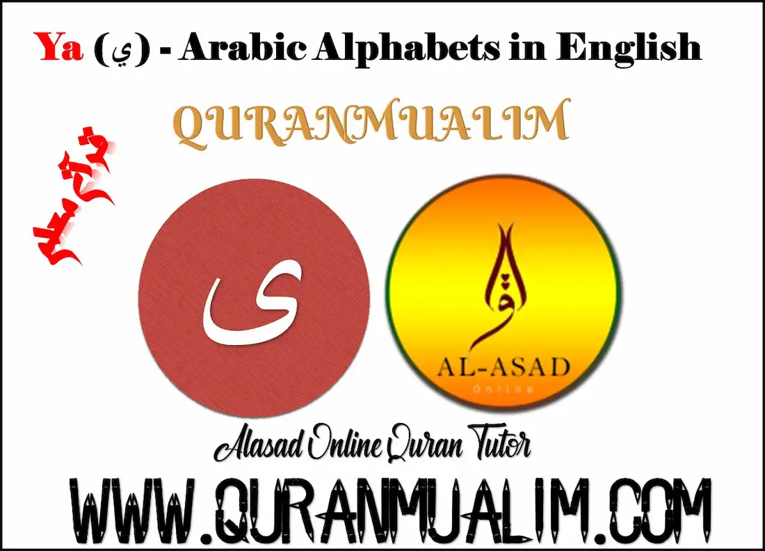 YA (ی) – Arabic Alphabets in English – QuranMualim