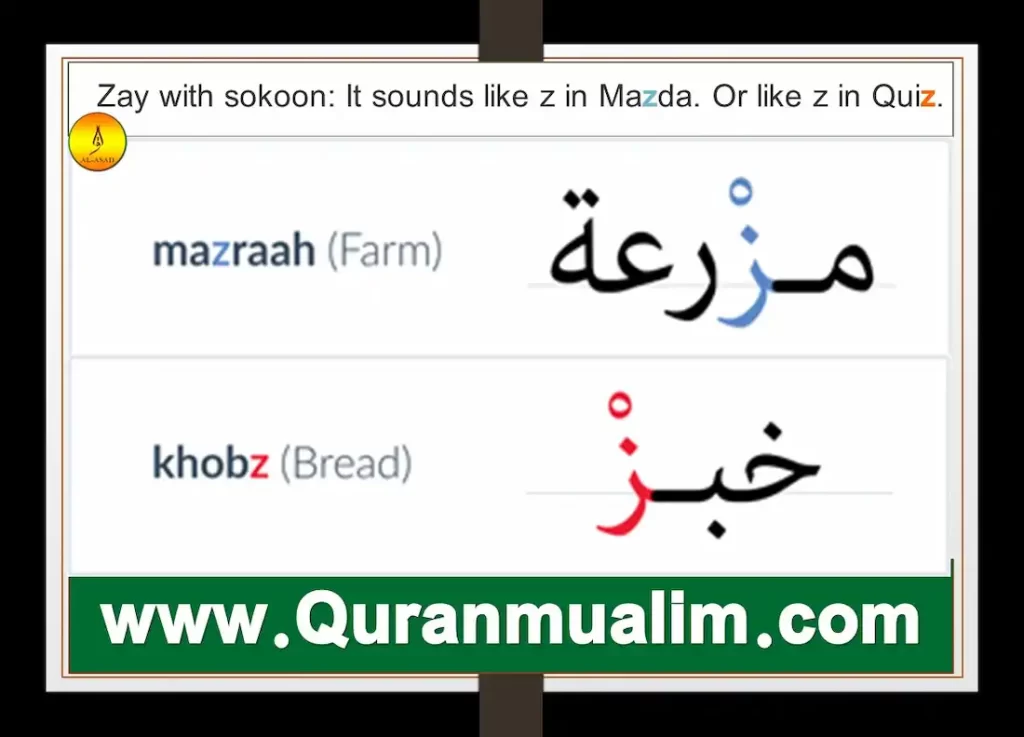 za in arabic, arabic letter za, za arabic, za arabic letter, za meaning in arabic, za in arabic za meaning in arabic, arabic alphabet in english, arabic for you, arabic alphabet translation, learning the arabic alphabet, learn arabic alphabet