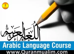 learning arabic language of the quran ,arabic and quran classes near me , arabic of the quran from beginner to advanced ,how to learn to read quran in arabic ,learn how to read quran in arabic