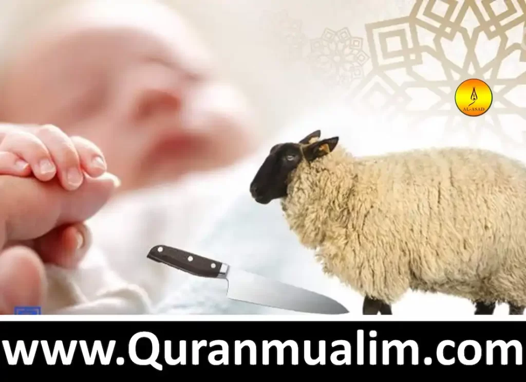 aqiqah	,aqiqah islam, aqiqah ceremony,aqiqah meaning,aqiqah wikipediawhat does aqiqah mean,what is a aqiqah ceremony, what is aqiqah,what is aqiqah in islam ,how is aqiqah performedaqiqah meaning