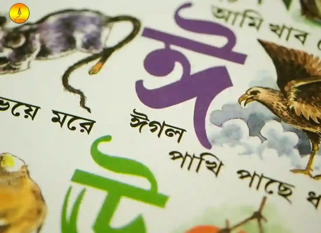 bangla writing ,bengali manuscript , bengali pronunciation ,bengali writing,how to pronounce bengali ,26 in bengali ,50 in bengali ,a to z english to bengali dictionary , alfabeto bengalí ,alphabet with vowels highlighted ,bangali language ,bangla bornomala ,bangla in bengali 