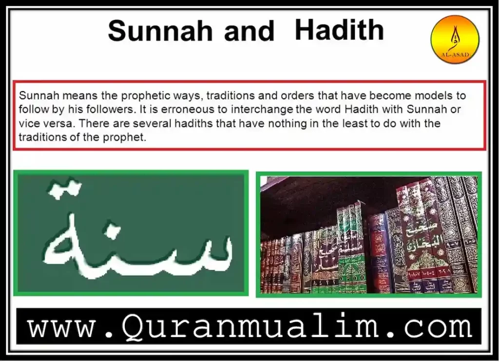 describe the basis for sunnah, islam sunnah ,islamic sunnah,the sunnah is based on the, define sunna ,sunna definition ,sunnah and hadith ,sunnah of prophet muhammad , the qur'an and the sunnah both form the basis for,three teachings from the sunnah ,how are hadith related to the sunnah