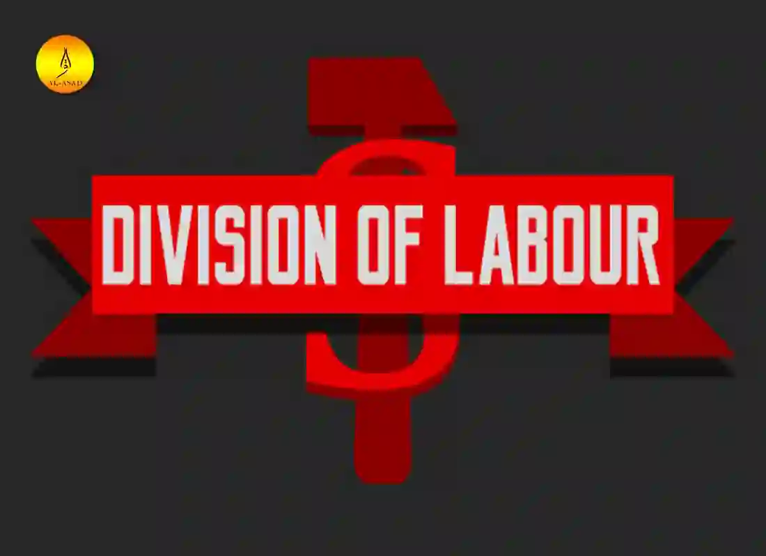 division of labor economics definition, what does the division of labor mean definition of division of labor ,division labor definition, what does the division of labor mean