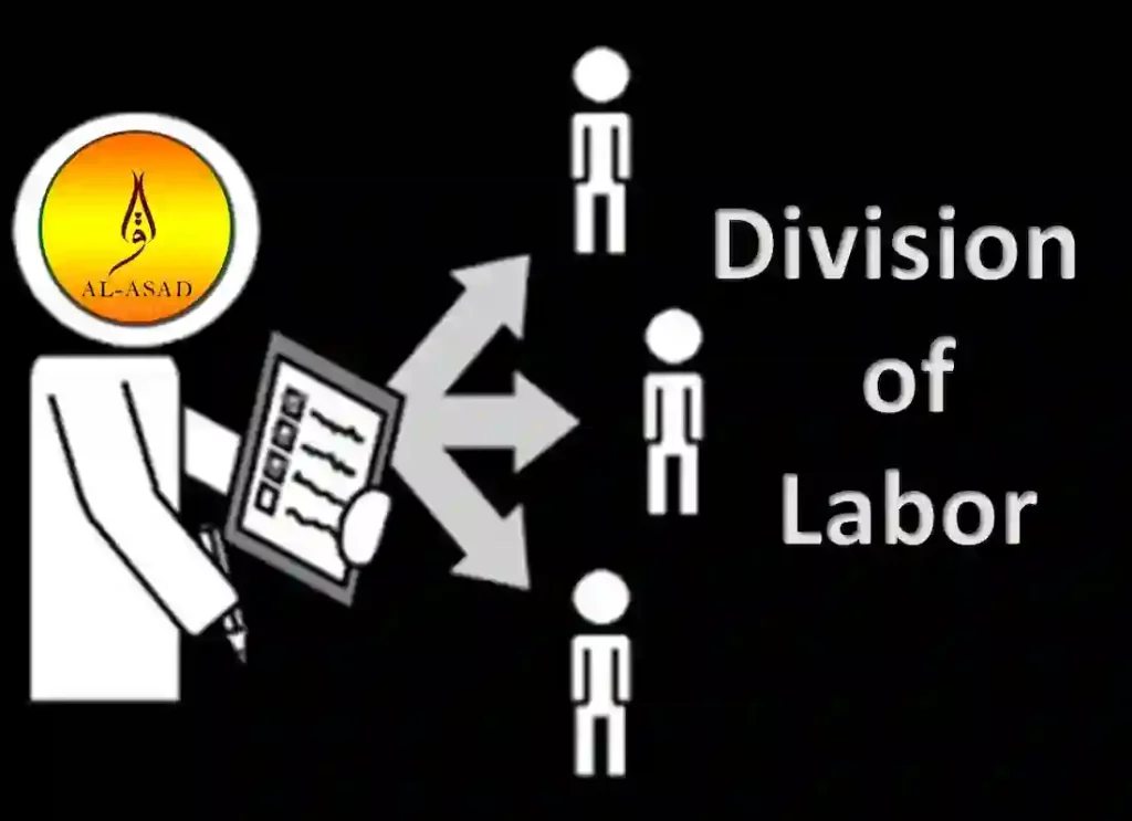 division of labor economics definition, what does the division of labor mean definition of division of labor ,division labor definition, what does the division of labor mean 