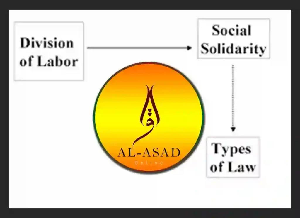 what is division of labour, division of labour, division of labour definition, the division of labour in society, adam smith division of labour quotedefine division of labor, define division of labor in economics, division of labor, division of labor definition economics