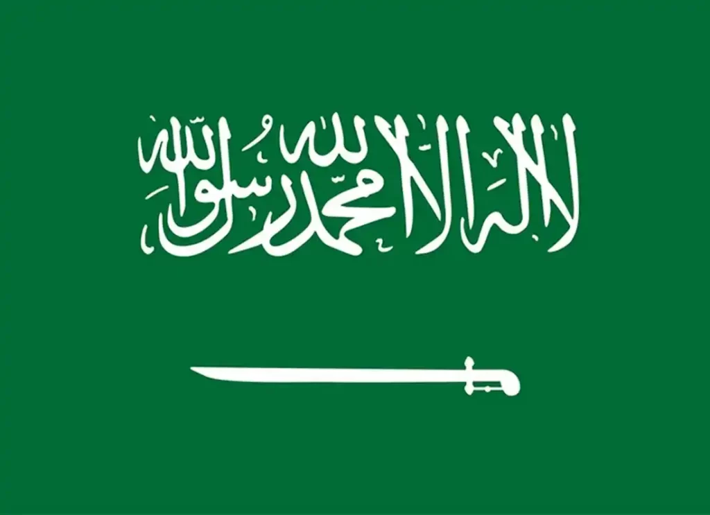 meaning of the saudi arabia flag, flags of saudi arabia, name of saudi arabia flag , saudi arab flag , saudi arabia flg,saudia arabia flag,saudi arabia flaf,saudi arabian flag , meaning of the saudi arabia flag 
 
