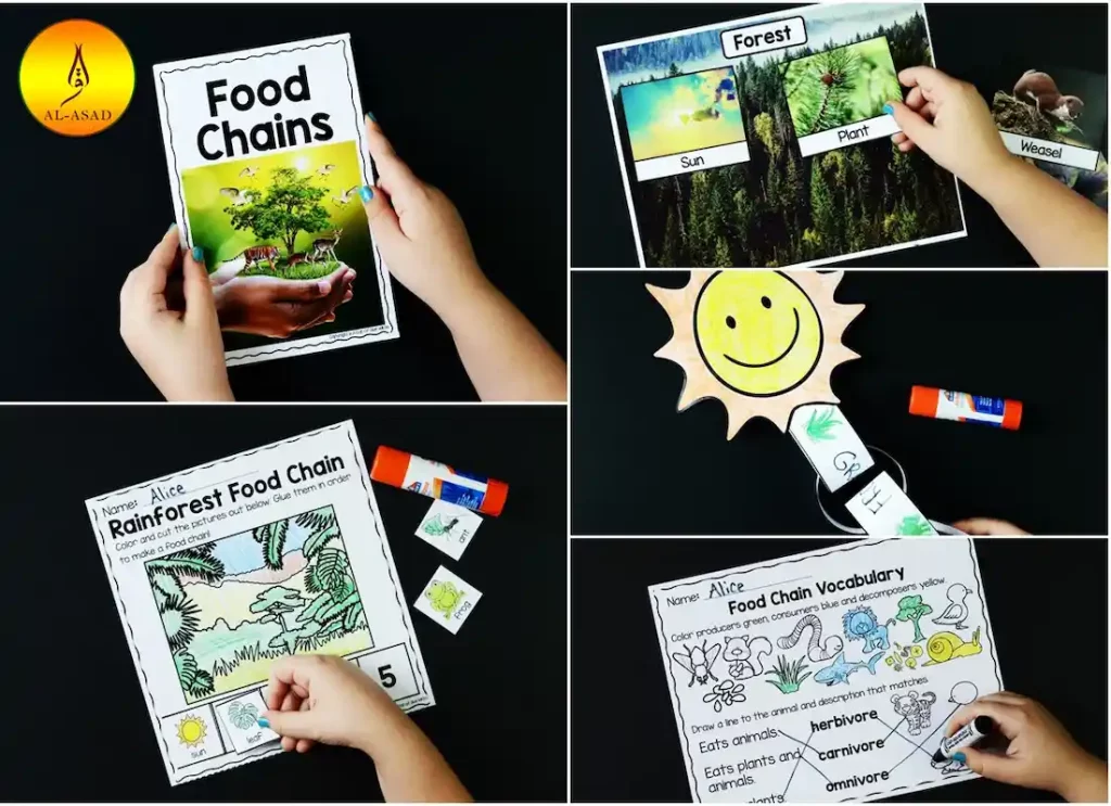 food chain in animals, animals in a food chain, top animal in the food chain, animal food chains, animals in a food chain, food chain, food chain animals, animals in a food chain, food chain , food chain animals ,animal food chain  