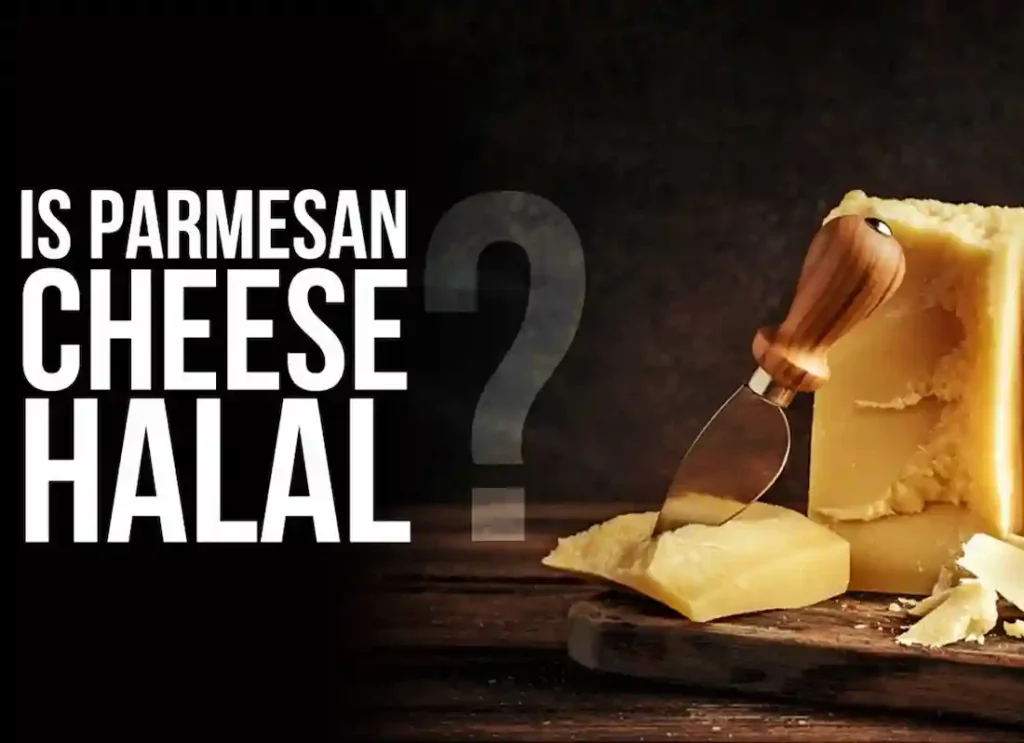 halal american cheese ,halal parmesan cheese brands,halal cheese,halal cheese in usa,is american cheese halal 