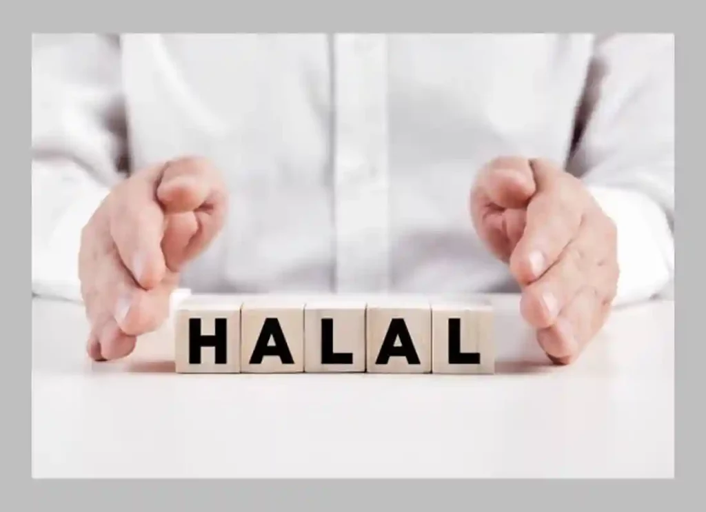 halal american cheese ,halal parmesan cheese brands,halal cheese,halal cheese in usa,is american cheese halal