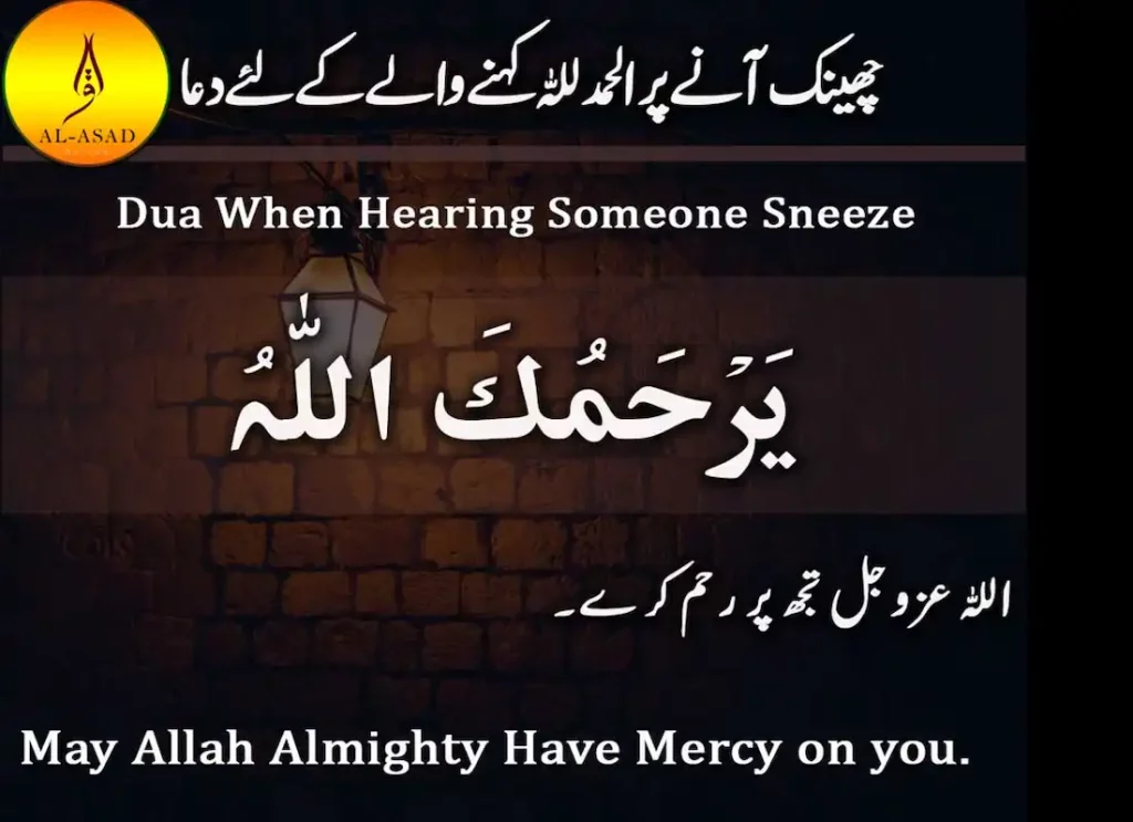 how to make yourself sneeze,how to stop sneezing,does your heart stop when you sneeze,why do we sneezesneee, sneexe, whats a sneeze,sneezes, sneezibg, cat sinus infection sneezing non stop ,does your heart stop when you sneeze , why is my cat sneezing, diseases spread by coughing and sneezing,is sneezing a covid symptom ,reverse sneeze dog 