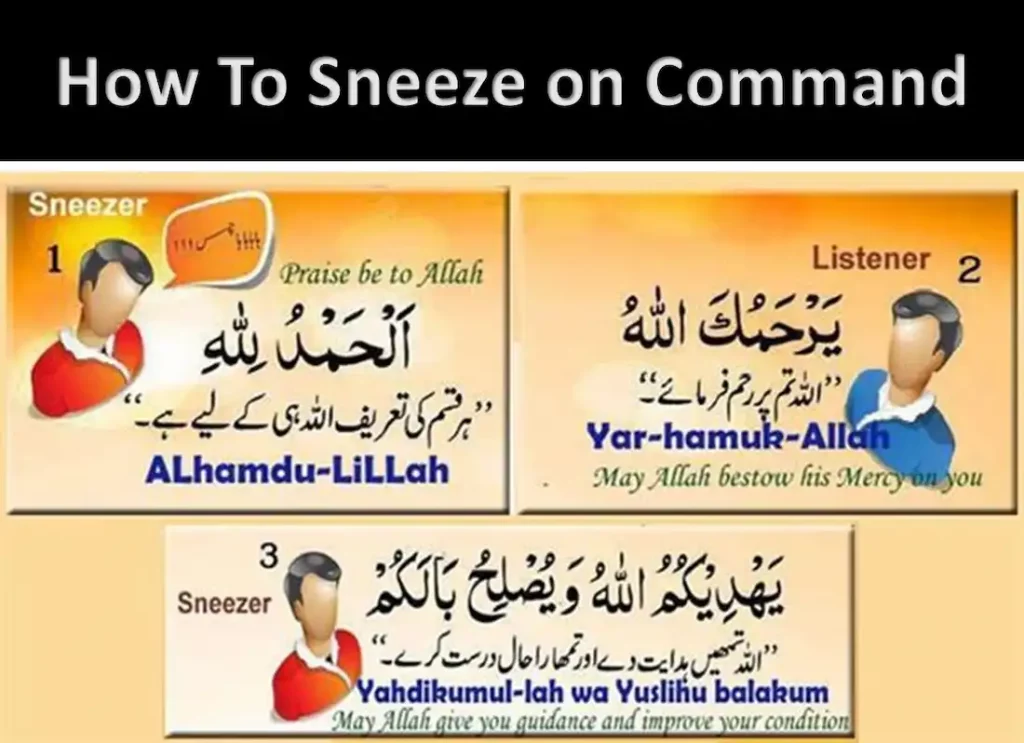 how to make yourself sneeze,how to stop sneezing,does your heart stop when you sneeze,why do we sneezesneee, sneexe, whats a sneeze,sneezes, sneezibg, cat sinus infection sneezing non stop ,does your heart stop when you sneeze , why is my cat sneezing, diseases spread by coughing and sneezing,is sneezing a covid symptom ,reverse sneeze dog 