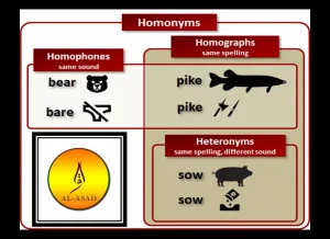 what are the 20 examples of homophones, what are some examples of homophones, examples homophones, examples of homophone, examples of homophones words, what are examples of homophones, example of homophones words