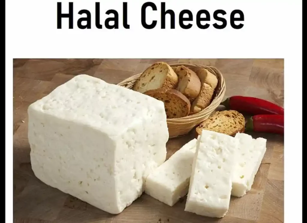 halal cheese,is cheddar cheese halal, halal philly cheese steak, is parmesan cheese halal, halal cheese steakis cheddar cheese halal