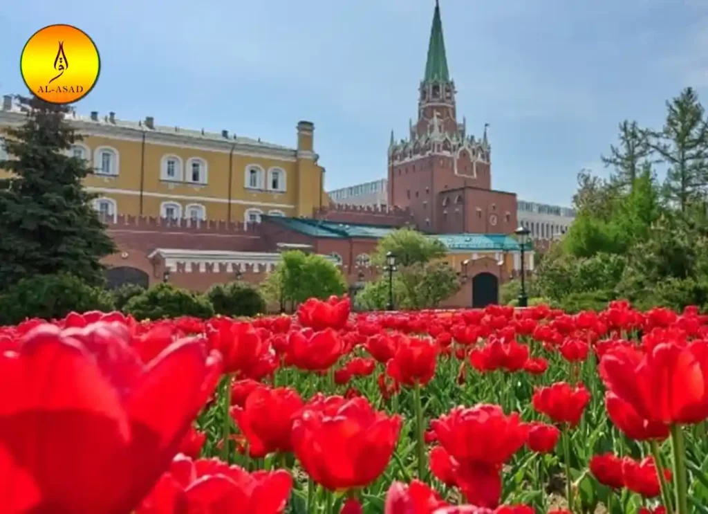 russian plants,plant in russian	,flowers native to russia,,can a tortoise eat aloe vera ,can tortoises eat aloe vera 
,can tortoises eat flowers ,can tortoises eat marigolds ,can tortoises eat rose petals,can you eat russian olives 
