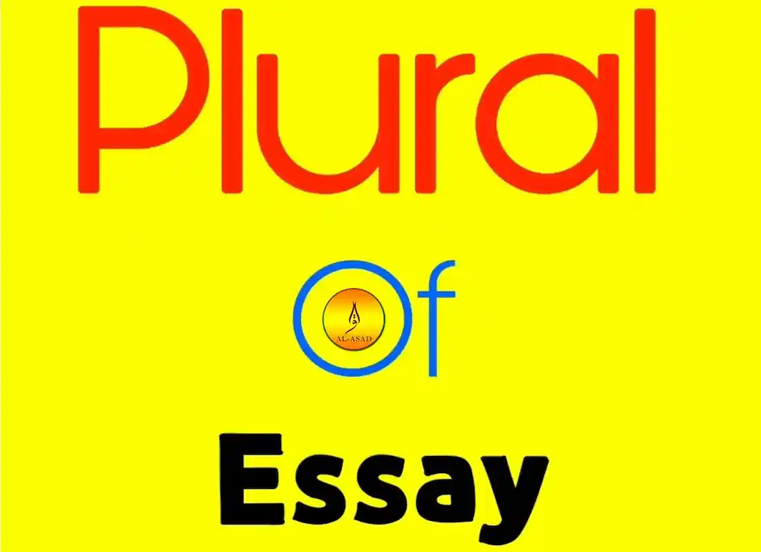 plural of essay is