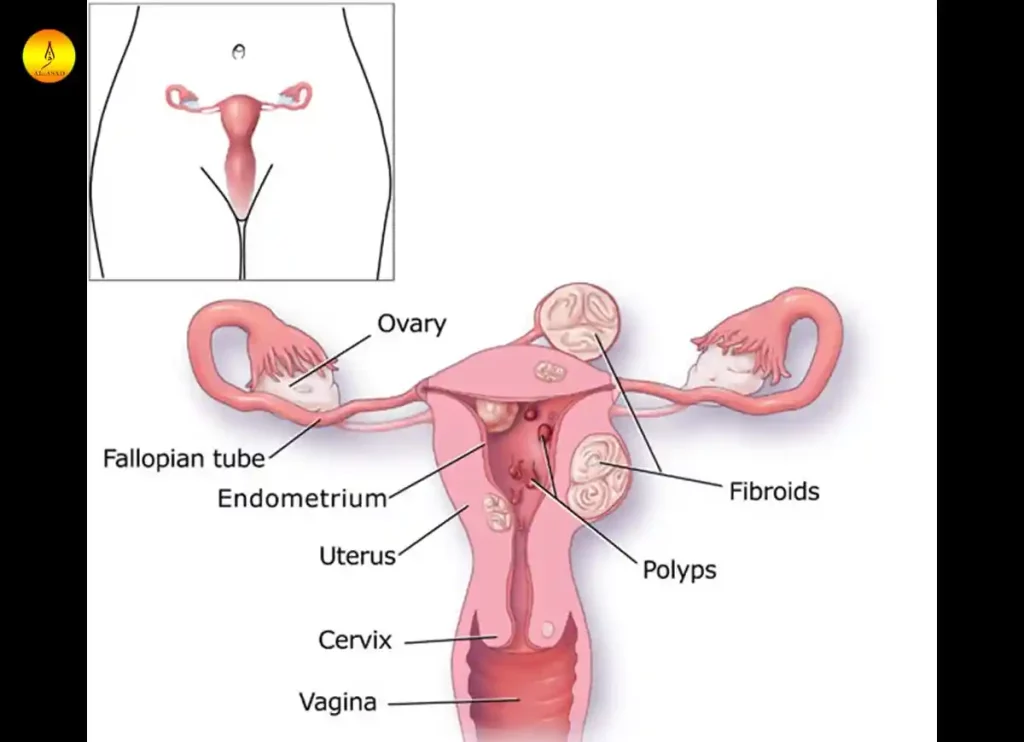 spiritual meaning of menstrual blood in a dreamwhy is my menstrual blood slimy,can menstrual blood cause infection for a male, can sperm survive in menstrual blood, why does menstrual blood smell,