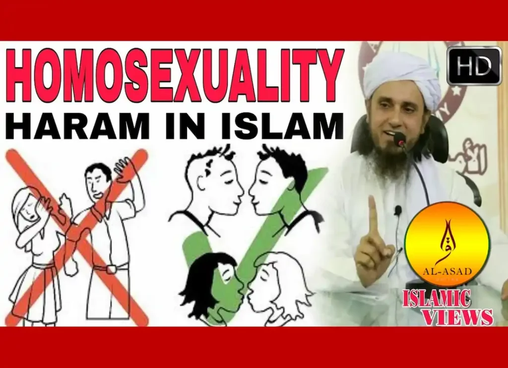 what does the koran say about homosexuality  ,what does the quran say about gay people ,what does the quran say about gays,does islam accept gay ,homosexuality in the quran ,
lesbian in islam ,quran about homosexual ,quran gay ,quran on homosexuality ,what does the koran say about gays 
