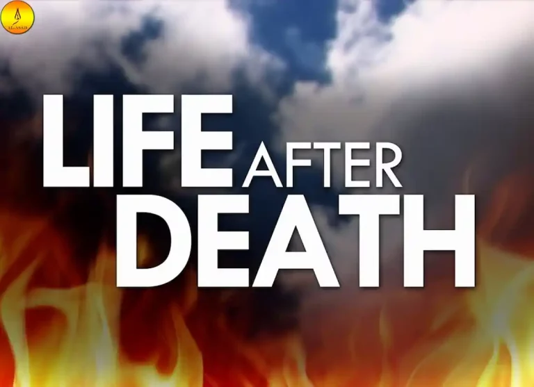 life after death with tyleris there life after death,how to rebuild your life after death of spouse,is there a life after death, ,is there proof of life after deathlife after deat,life after deatj,life after desth, life after dwath, life aftwr death,life after death proof ,life expectancy after death of spouse