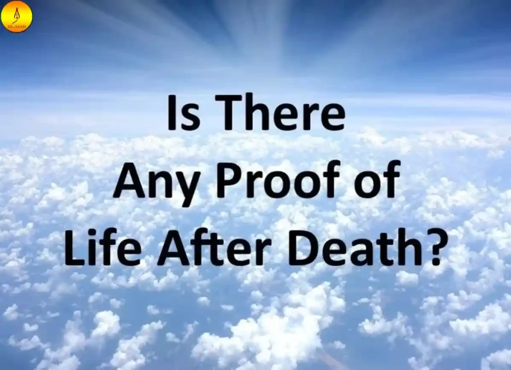 life after death with tyleris there life after death,how to rebuild your life after death of spouse,is there a life after death, ,is there proof of life after deathlife after deat,life after deatj,life after desth,	life after dwath, life aftwr death,life after death proof ,life expectancy after death of spouse 