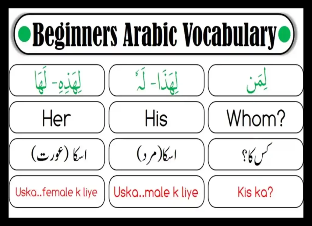 english words from arabic, words in english from arabic, english words borrowed from arabic, english words derived from Arabic, english words that came from arabic,english words that come from arabic