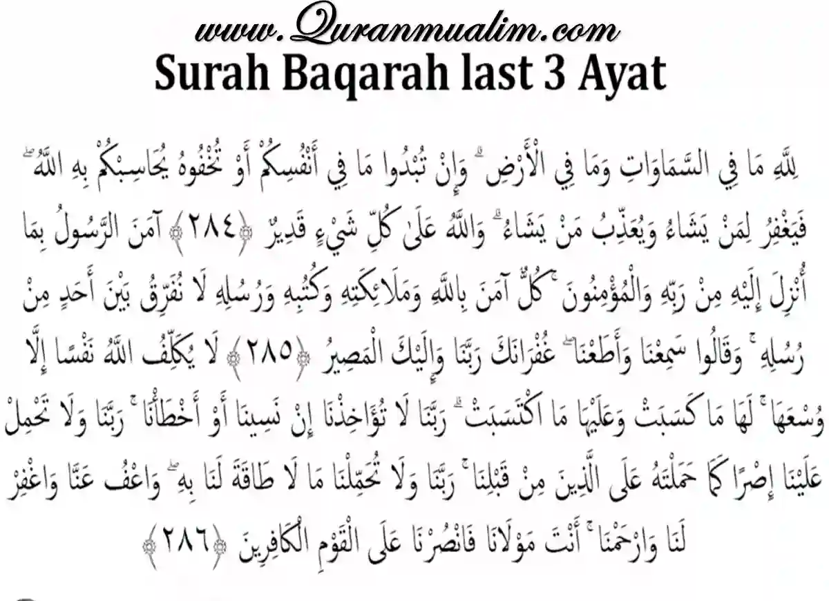 which surah is the mother of quran,is surah yaseen heart of quran,which surah is the heart of quran, how are the surahs of the quran orderedsurah in quran,surah of the quran,surahs in the quran,quran surahs,surah from quran, how many surahs are in the quran ,quran list of surahs,suras of the quran,how many surah are there in quran