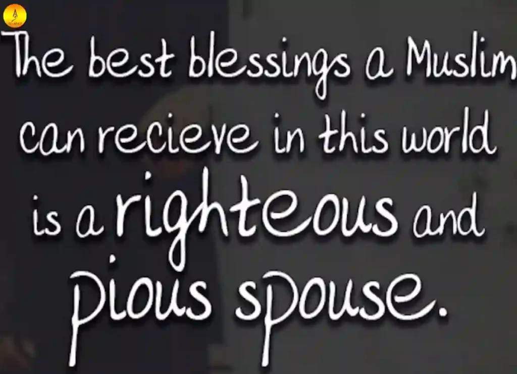 what does the word pious mean, what does pious mean in English, what does it mean to be pious, what does pious mean, what does the word pious mean, what does pious mean in English, what does it mean to be pious, definition of pious, meaning of pious, pious mean, what does p i o u s mean, what does the word pious mean