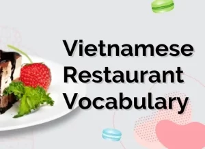 basic vietnamese phrases, basic vietnamese,vietnamese language basics, basic vietnamese words,basic words in vietnamese, basic vietnamese words, vietnamese basic words, basic vietnamese phrases, vietnamese language basics, vietnamese simple phrases