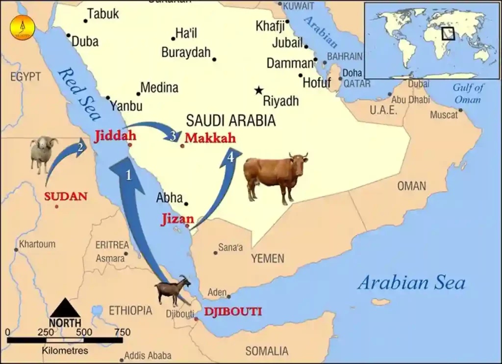 what animals are in saudi arabia, animals of arabia,animals native to saudi arabia,arabian desert animals,animals of arabian desert ,wildlife in the arabian desert ,arabian animal