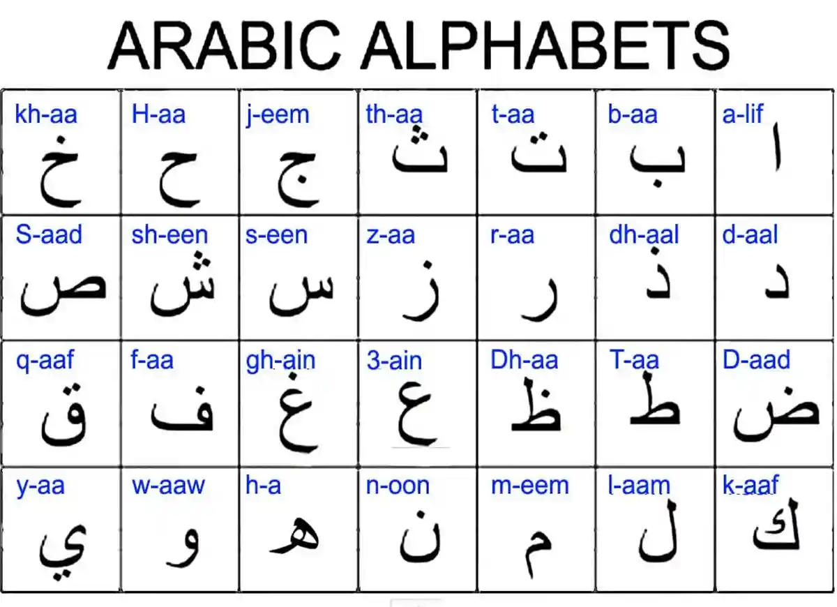 basic arabic, learn basic arabic, arabic basics, basic arabic words for beginners, words in arabic for beginners, basic arabic words for beginners,words in arabic for beginners ,arabic words for beginners ,arabic easy words