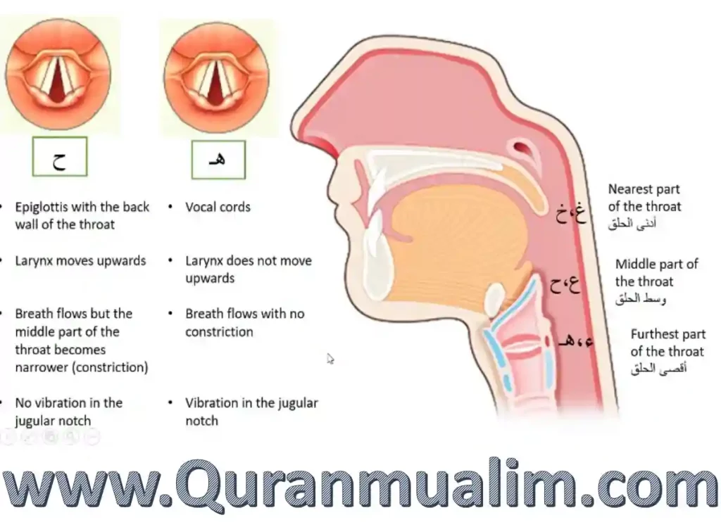arabic pronunciation, qatar pronunciation arabic,arab pronunciation, arabica pronunciation, arabs pronunciation, arabic pronounciation, arabic pronunciations, arabic pronounce, pronounce arabic, english to arabic pronunciation