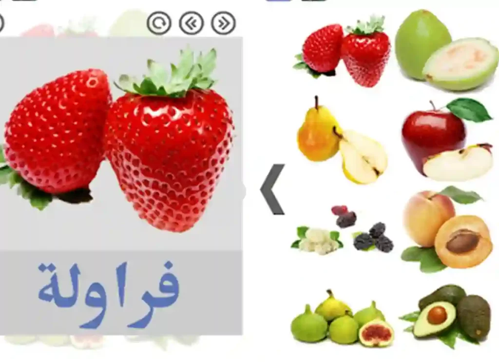 arabic food near me, arabic food, arab food, arab food near me, arab foods
aribic foods, arabian foods, arabic traditional food, traditional arab food, arab dish