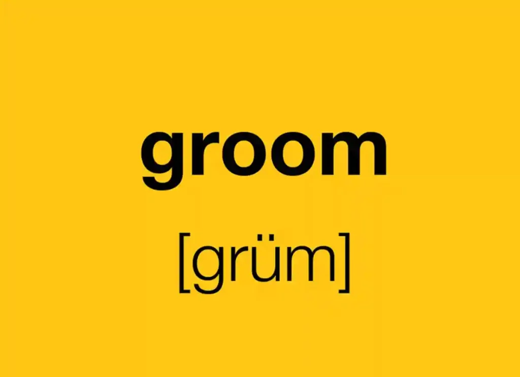 definition of groomer, definition of grooming, definition of groomed, definition of groom, definition of grooming someone, meaning of groomer, definition groomer, define groomer, groomer def, groomer definition
