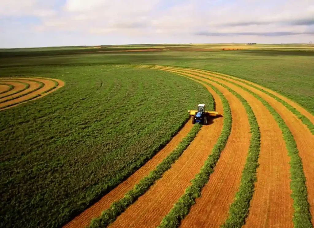 farming saudi arabia,saudi arabia farming,saudi arabia agriculture,agriculture in saudi arabia,arabian agriculture, saudi arabia farmland ,saudi farm ,saudi arabia arable land,alfalfa saudi arabia ,arizona aquifer saudi arabia 