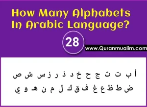 You will need quality content focused on the keyword’s intent, arabic alphabet chart printable, arabic letter chart, You will need lots of ref. domains and optimized content, arabic letters chart,You will need lots of ref. domains and optimized content.