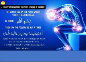 Dua For animal , Prayer For Animal Protection ,Good Health, Dua for Pain, Prayer For Animal