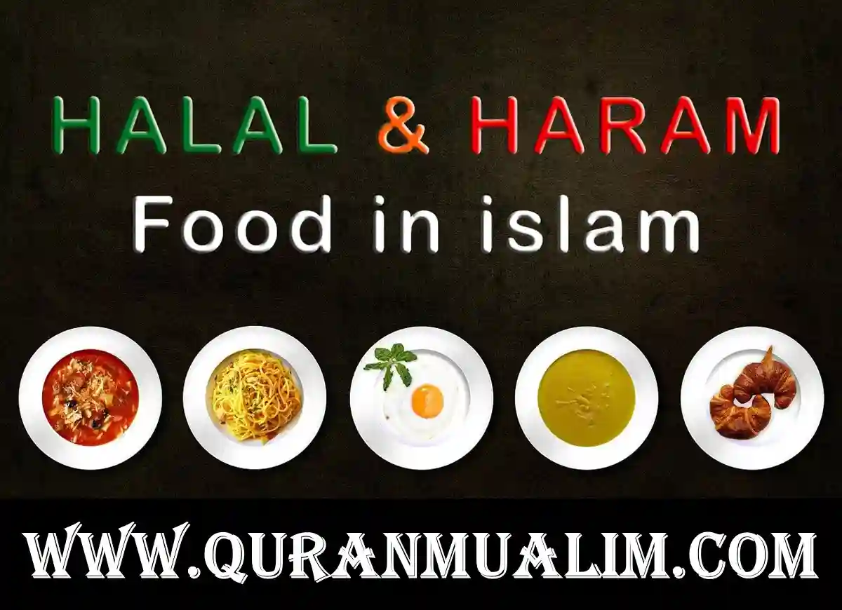 halal vs haram, haram vs halal,e621 halal or haram,halal and haram, halal haram,is gelatin haram or halal, is enzymes halal or haram, is ruqyah halal or haram, what is halal and haram, what is halal and what is haram