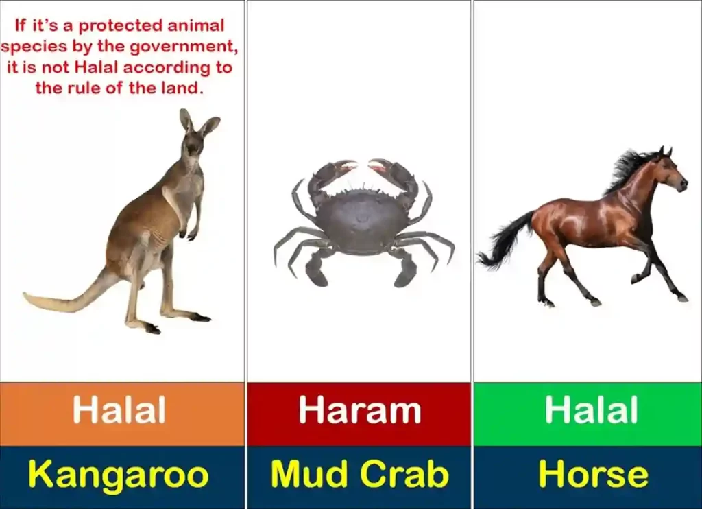 halal vs haram, haram vs halal,e621 halal or haram,halal and haram, halal haram,is gelatin haram or halal, is enzymes halal or haram, is ruqyah halal or haram, what is halal and haram, what is halal and what is haram