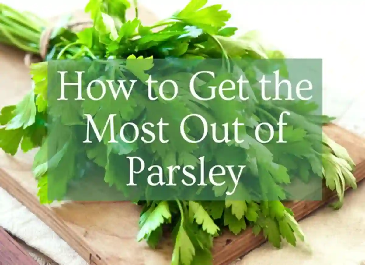 how much parsley is in a bunch,how much parsley in a bunch,how much is a bunch of parsley,how much is one bunch of parsley,what is a bunch of parsley,bunch of parsley