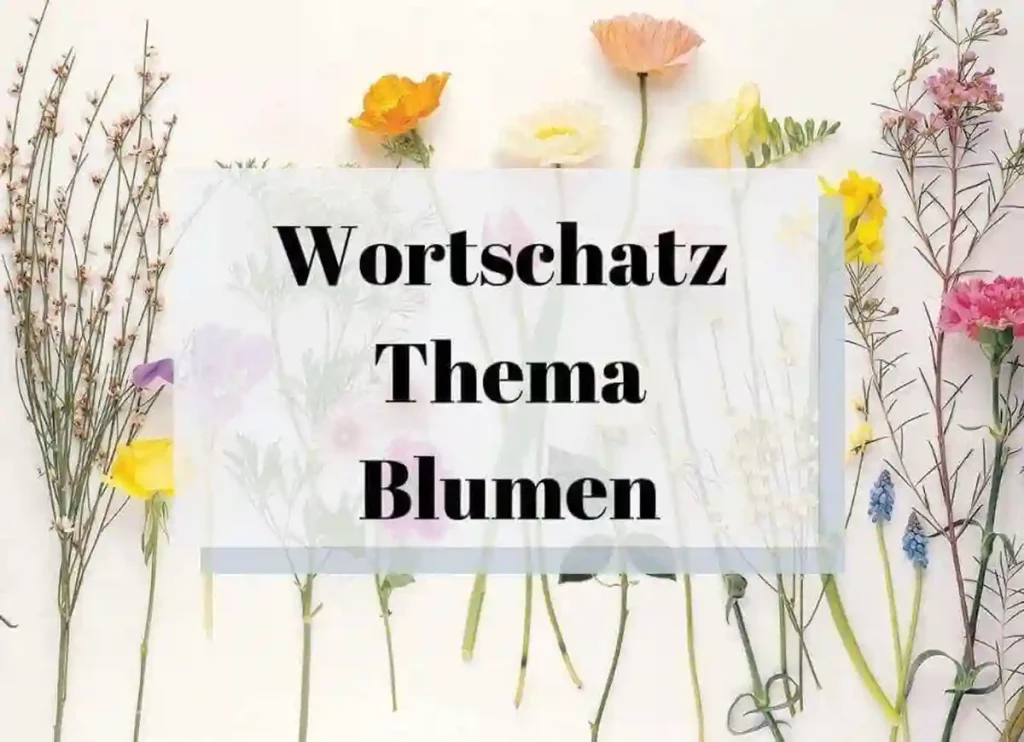 flowers german, german word for flower,german flower names,flower in german,german flowers, german flowers and their meanings, german native flowers ,native german flowers, flowers from germany