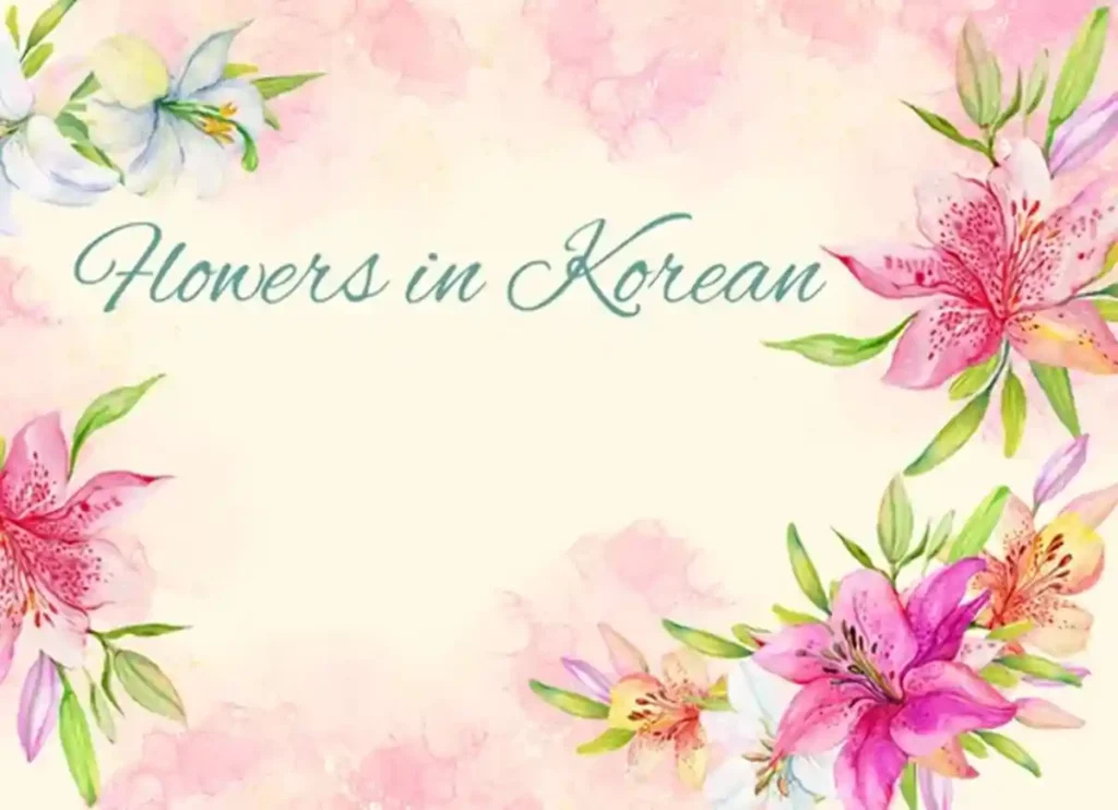 flowers in korean, korean flowers in bloom, korean flowers in bloom tumblr, jin ha korean flowers in bloom, flower in korean, korean word for flower, flowers in korea, flowers in south korea, how to say flower in korean