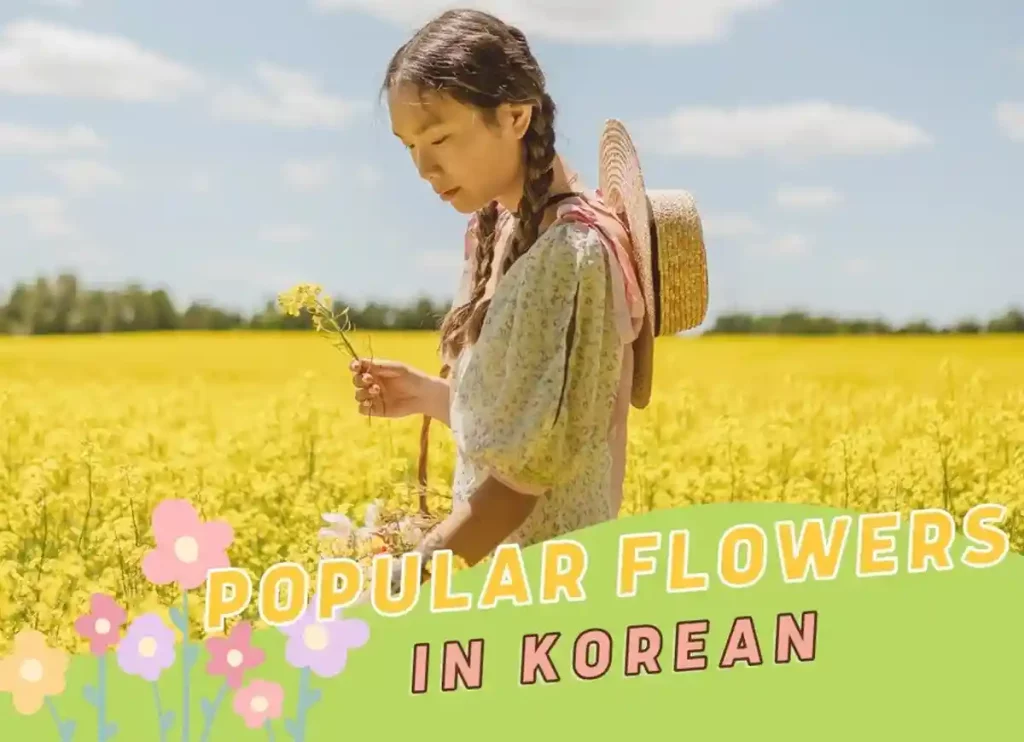 flowers in korean, korean flowers in bloom, korean flowers in bloom tumblr, jin ha korean flowers in bloom, flower in korean, korean word for flower, flowers in korea, flowers in south korea, how to say flower in korean