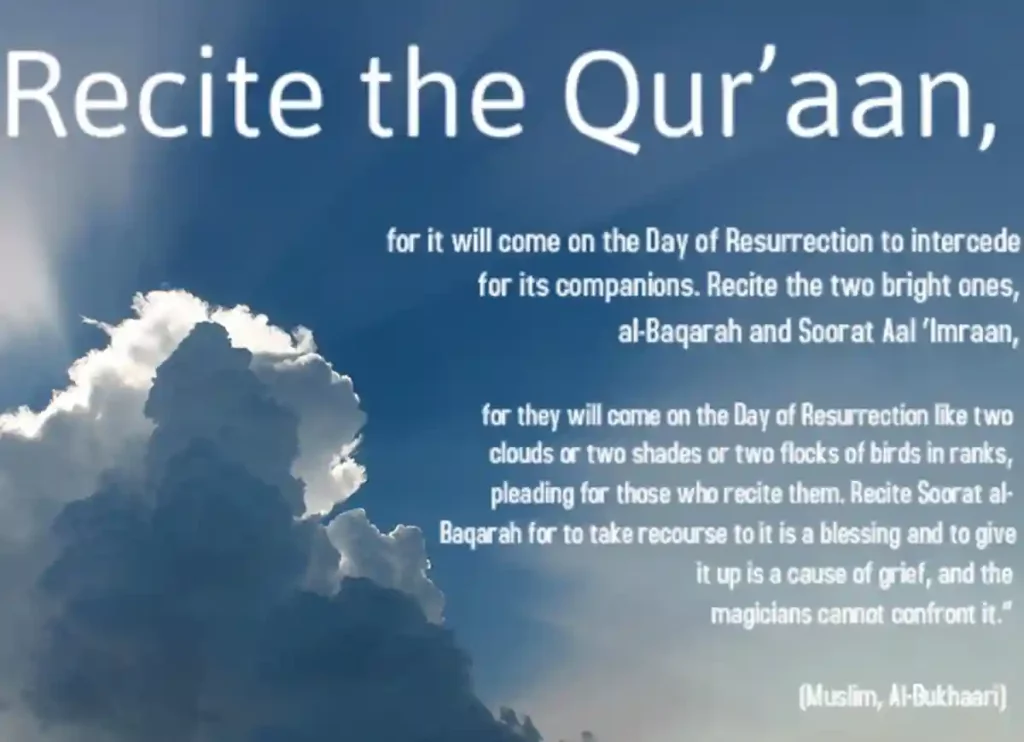 reciting quran, recite quran, recitequran, quran reciting, recitation of the quran, recitation of the koran, recitation of the koran, quranic recitation , read and recite quran, recitation of quran ,how to recite quran, listen quran online