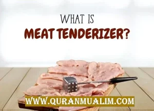what is meat tenderizer powder, what is in meat tenderizer powder, what meat tenderizer powder, what is meat tenderizer powder used for, what is in meat tenderizer powder, how to use meat tenderizer powder, how to use powder meat tenderizer